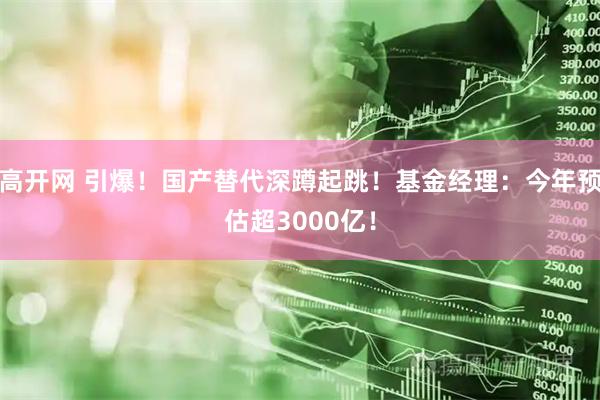 高开网 引爆！国产替代深蹲起跳！基金经理：今年预估超3000亿！