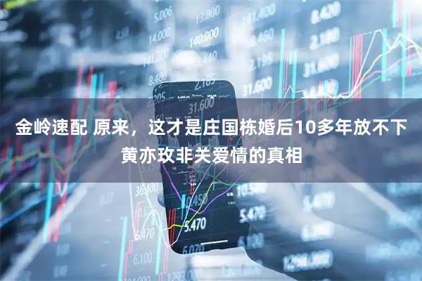 金岭速配 原来，这才是庄国栋婚后10多年放不下黄亦玫非关爱情的真相
