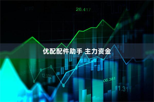 优配配件助手 主力资金