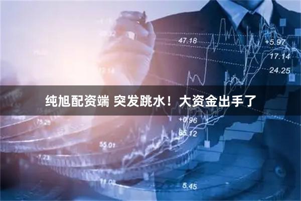 纯旭配资端 突发跳水！大资金出手了