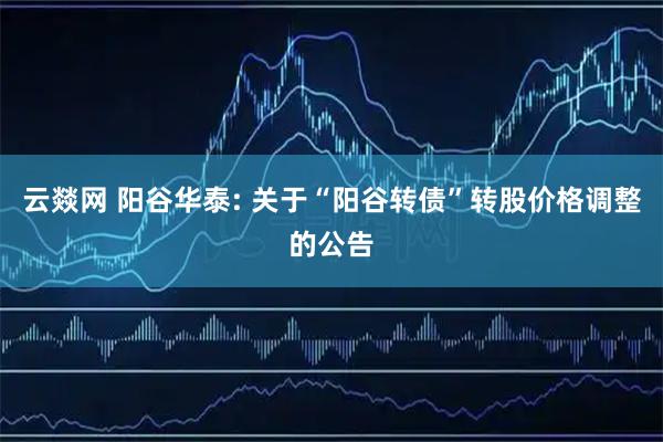 云燚网 阳谷华泰: 关于“阳谷转债”转股价格调整的公告