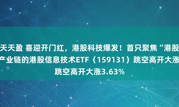 天天盈 喜迎开门红，港股科技爆发！首只聚焦“港股芯片”产业链的港股信息技术ETF（159131）跳空高开大涨3.63%